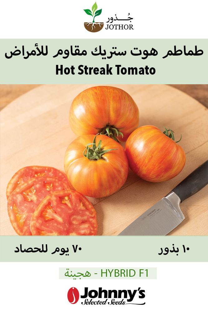 بذور طماطم هوت ستريك مقاوم للأمراض - Hot Streak (F1) Tomato Seed