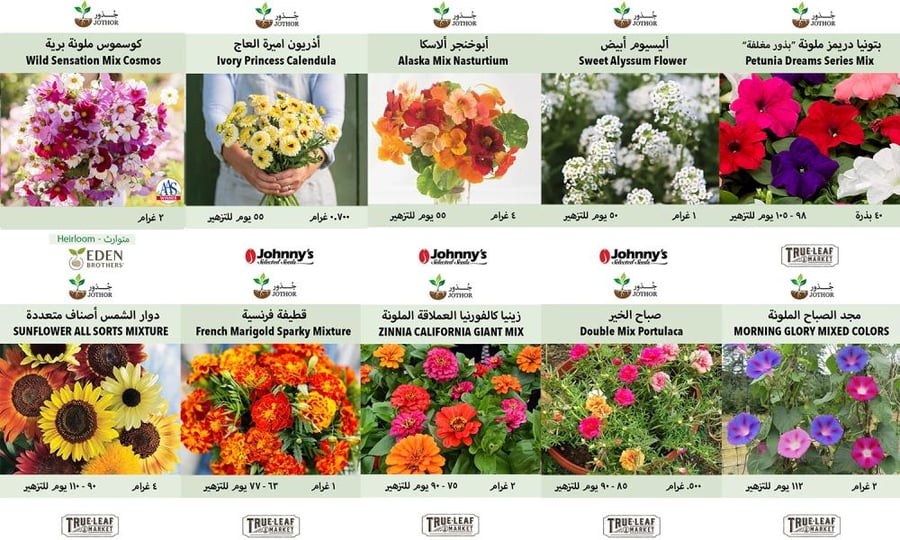 مجموعة بذور الزهور للهواة - Beginner Flower Kit