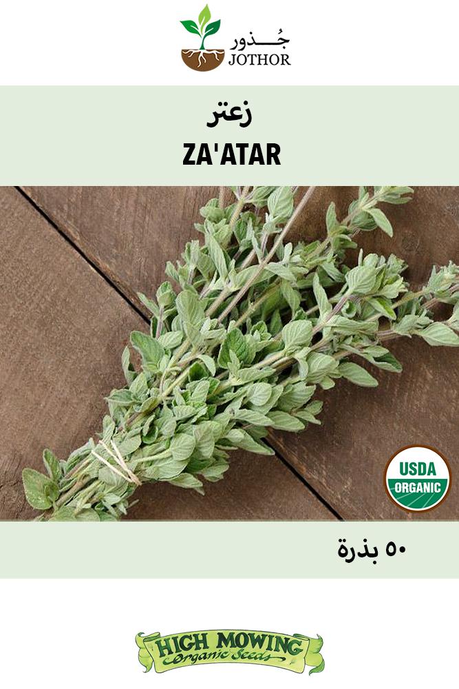 بذور زعتر - Zaatar Seeds