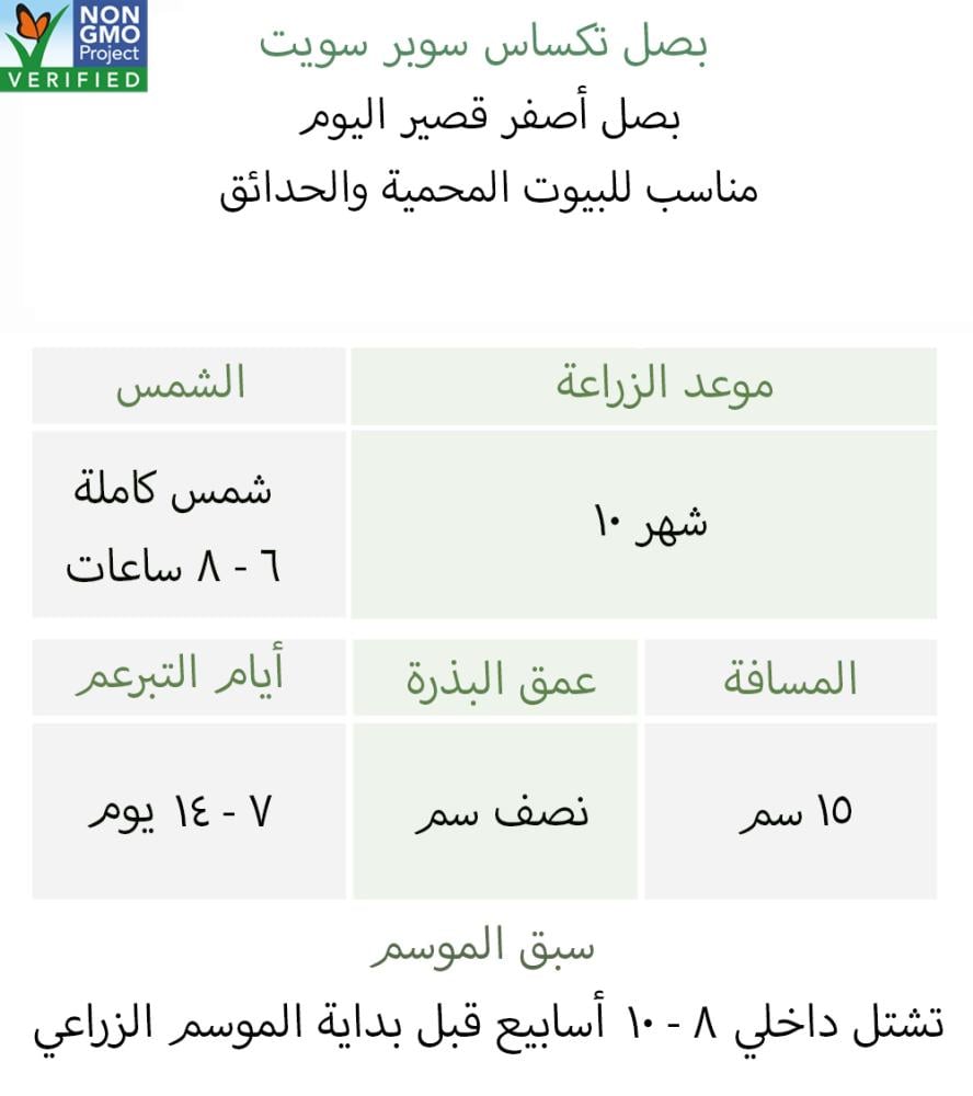 بذور بصل تكساس سوبر سويت - Texas 1015 Super Sweet Onion Seeds