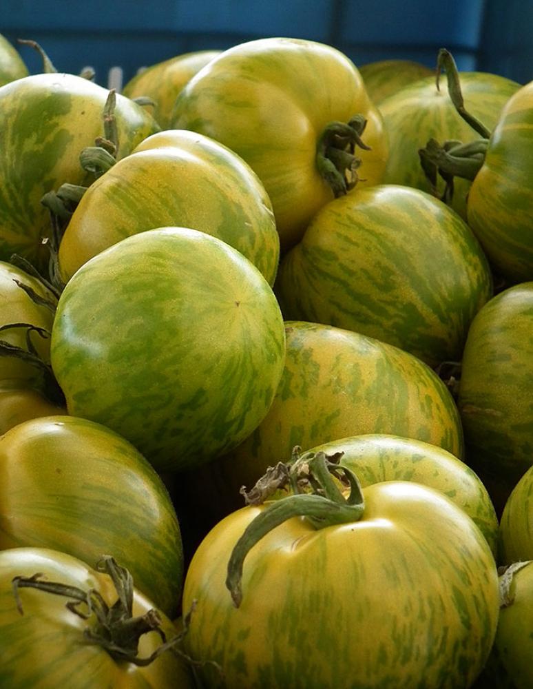 بذور طماطم زيبرا الأخضر - Green Zebra Tomato Seeds