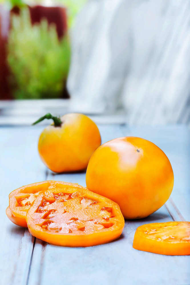 بذور طماطم يوبيل الذهبي " متسلق" - Golden Jubilee Pole Tomato seeds