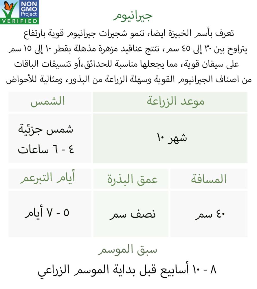 بذور جيرانيوم وردي لؤلؤي - Geranium Seeds - Maverick Series