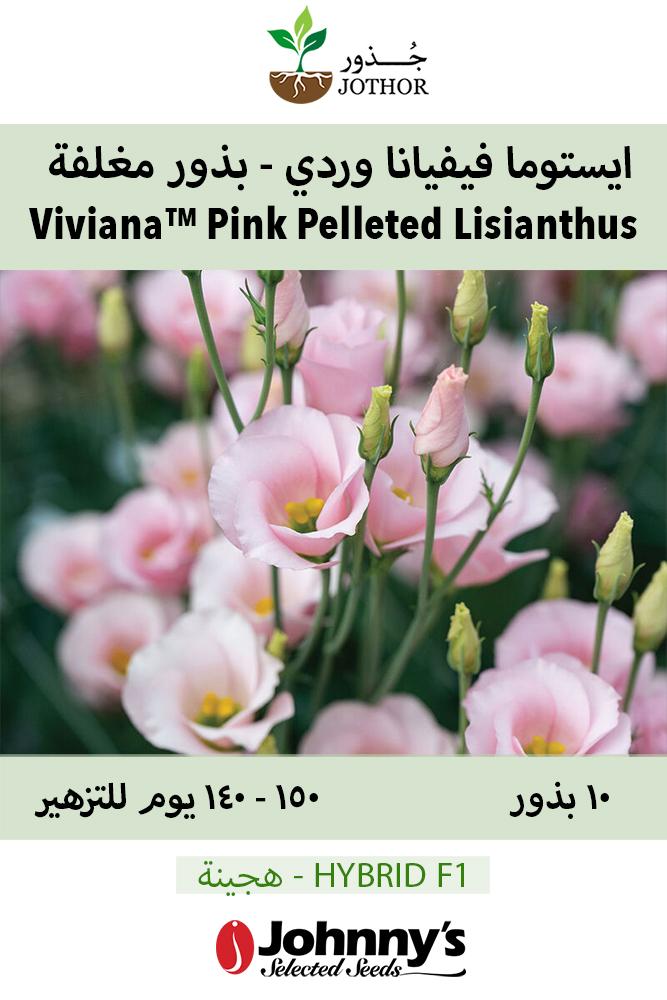 بذور ايستوما فيفيانا وردي - VIVIANA PINK F1 Pelleted Lisianthus Seeds