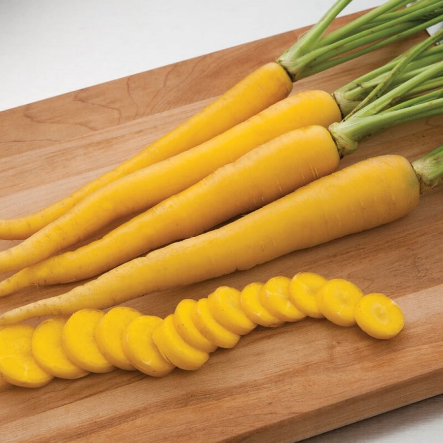 بذور جزر يلوبانش - Yellowbunch Pelleted (F1) Carrot Seeds