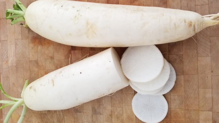 بذور فجل دايكون الأبيض - Miyashige White Daikon Radish Seeds