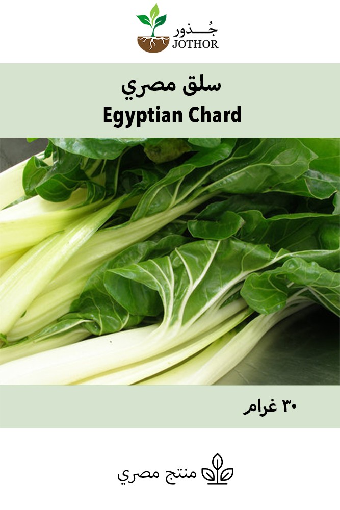 بذور سلق مصري - Egyptian Chard Seeds