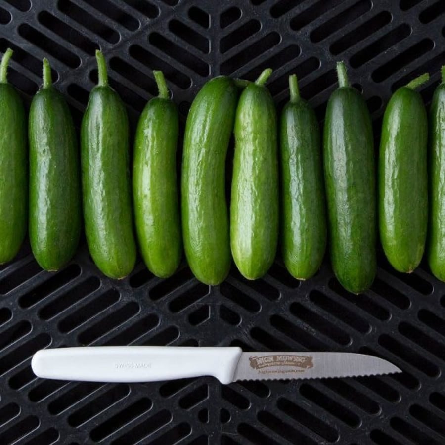 بذور خيار ميني مي ذاتي التلقيح عضوي - Minime Cucumber Seeds