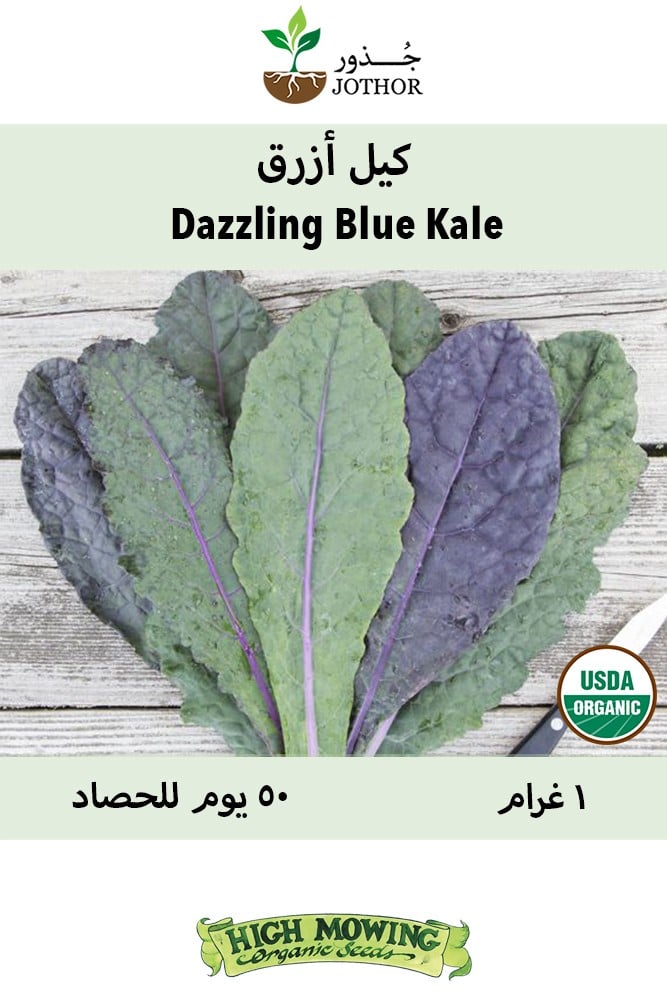 بذور كيل أزرق - Dazzling Blue Kale Seeds