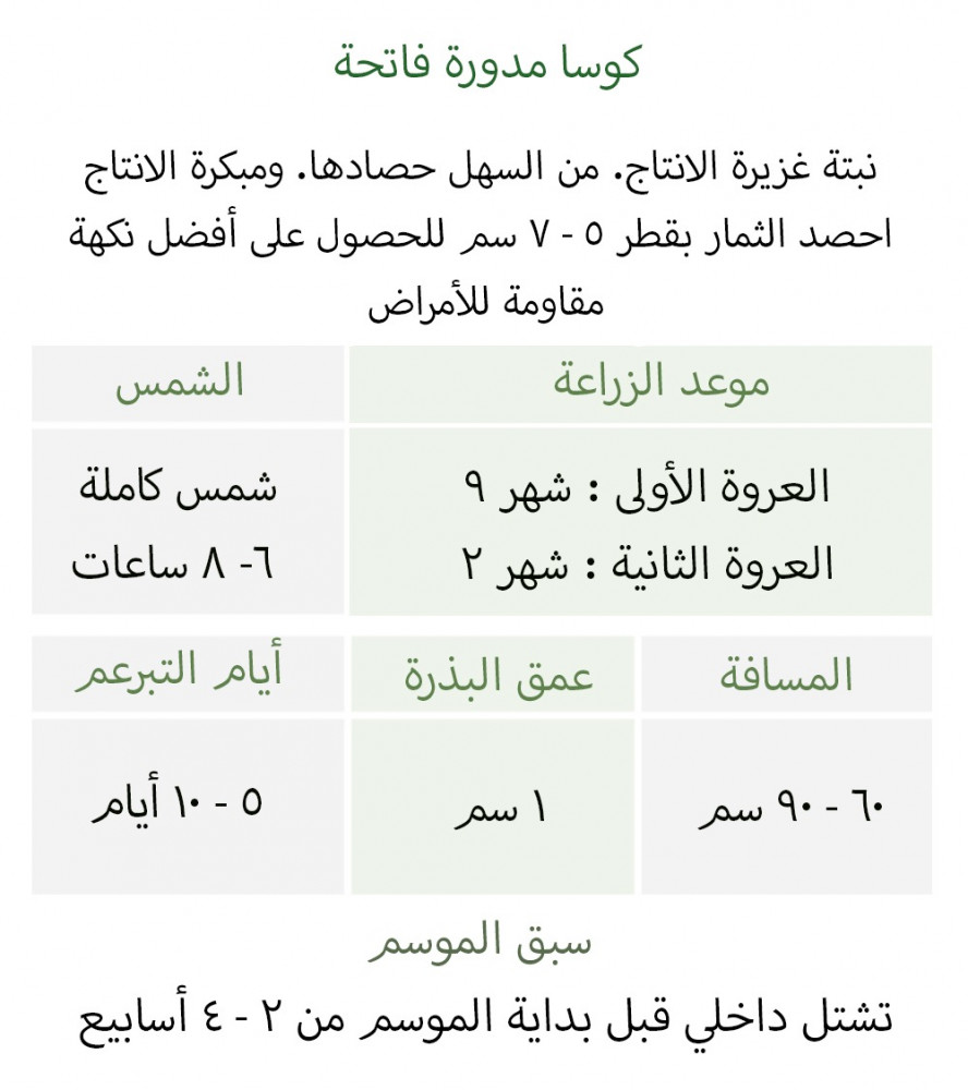 بذور كوسا مدورة فاتحة - Cue Ball Squash Seeds