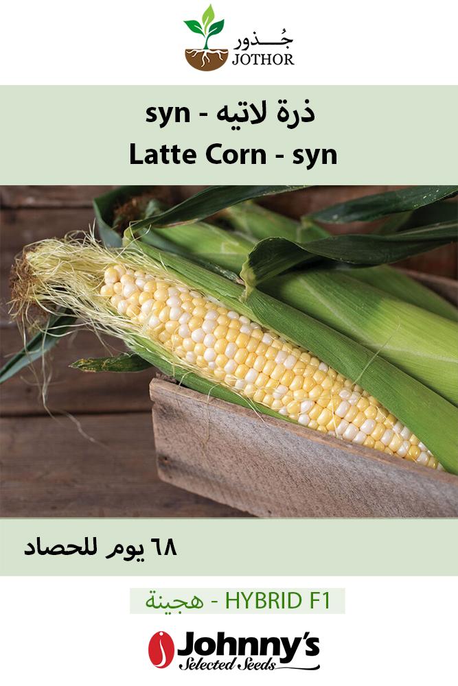 بذور ذرة لاتيه -