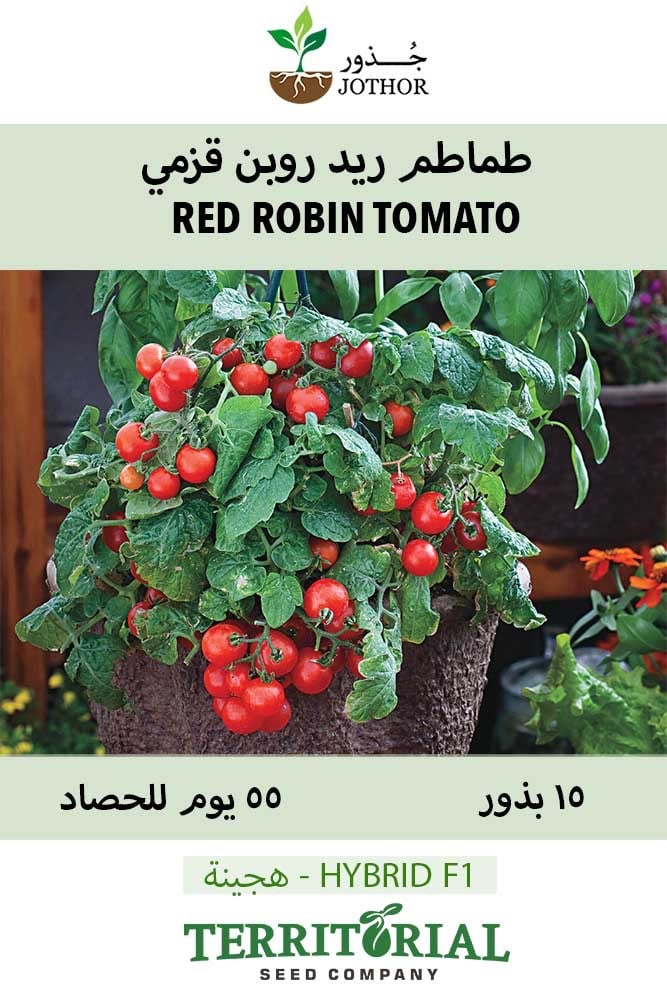 بذور طماطم ريد روبن قزمية - Tomato Little Birdy Red Robin Seeds