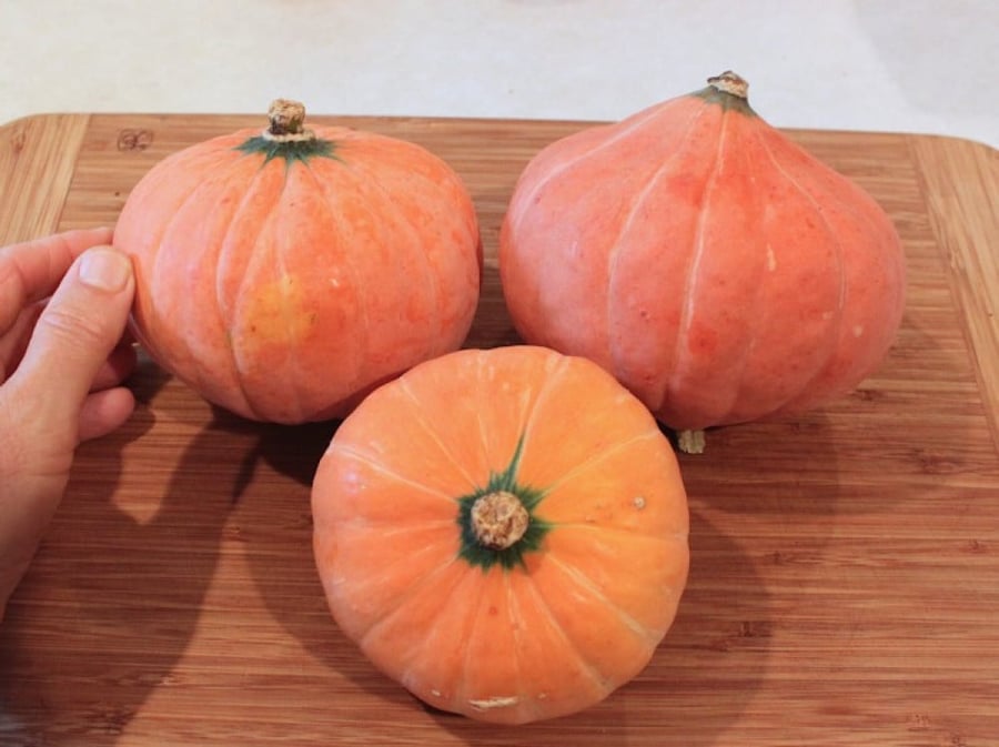 بذور قرع قولد نقت - SQUASH GOLD NUGGET Seeds