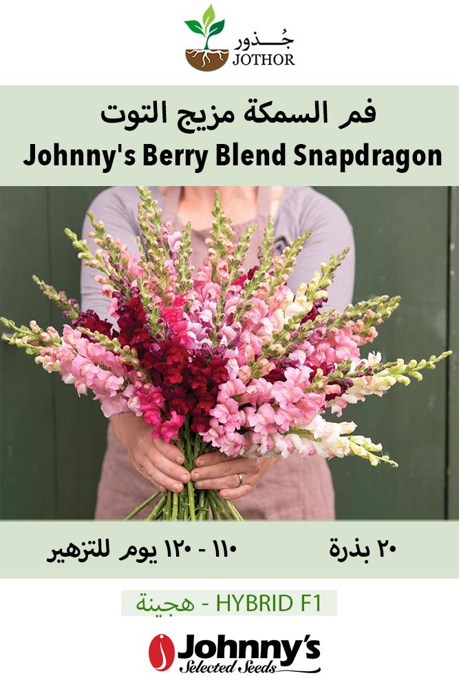 بذور فم السمكة مزيج التوت - Johnny's Potomac Summer Berry Blend (F1) Snapdragon Seed