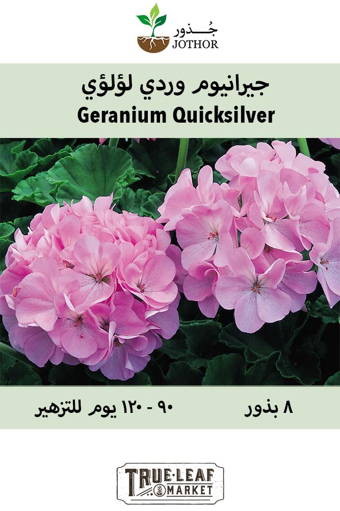 بذور جيرانيوم وردي لؤلؤي - Geranium Seeds - Maverick Series