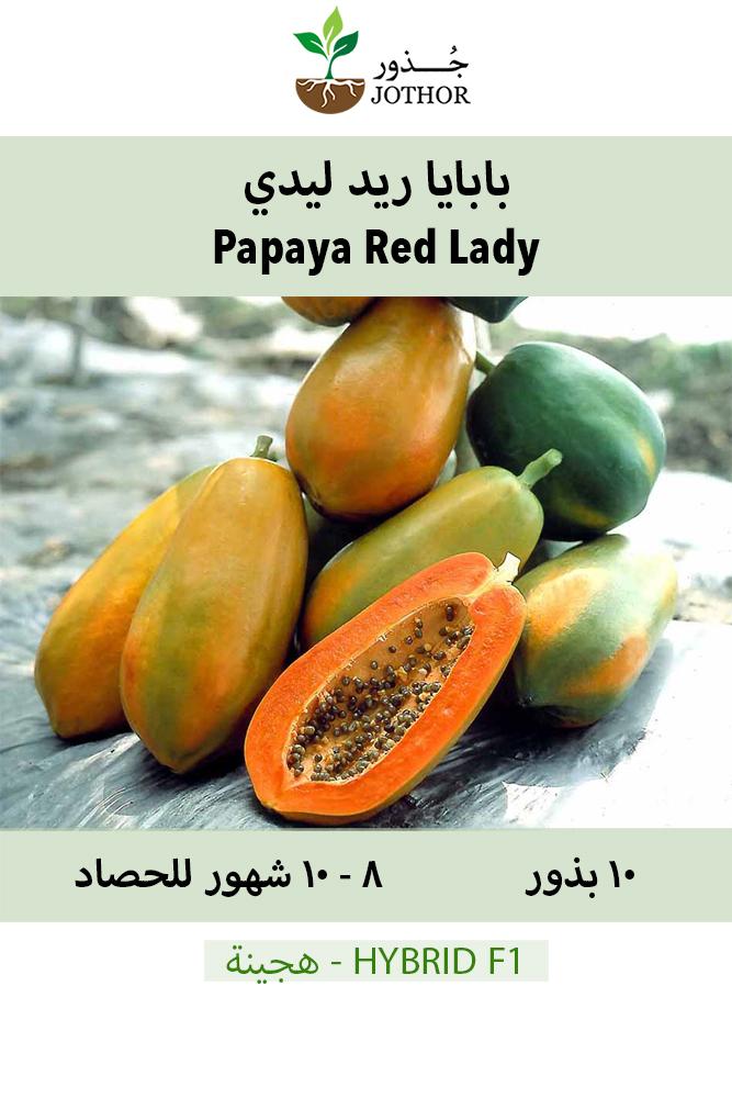 بذور بابايا ريد ليدي - Papaya Red Lady Seeds
