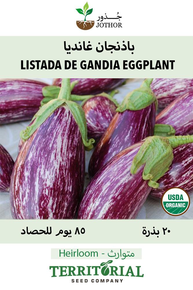 بذور باذنجان غانديا - Listada de Gandia Eggplant Seeds