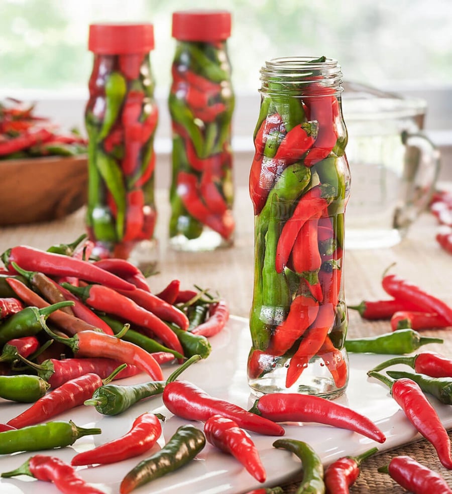 بذور فلفل كاين ملون - Cayenne Blend Chile Pepper Seeds