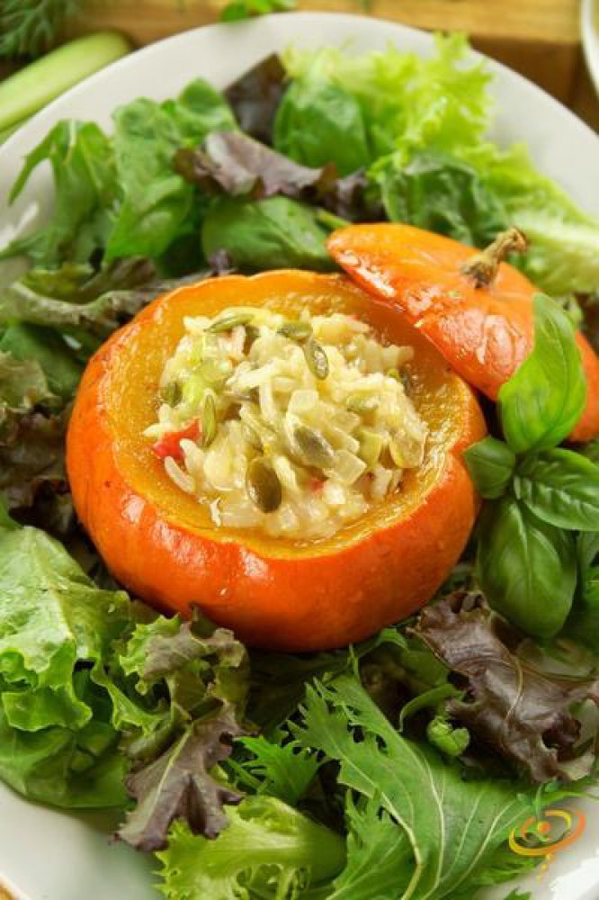 بذور قرع قولد نقت - SQUASH GOLD NUGGET Seeds