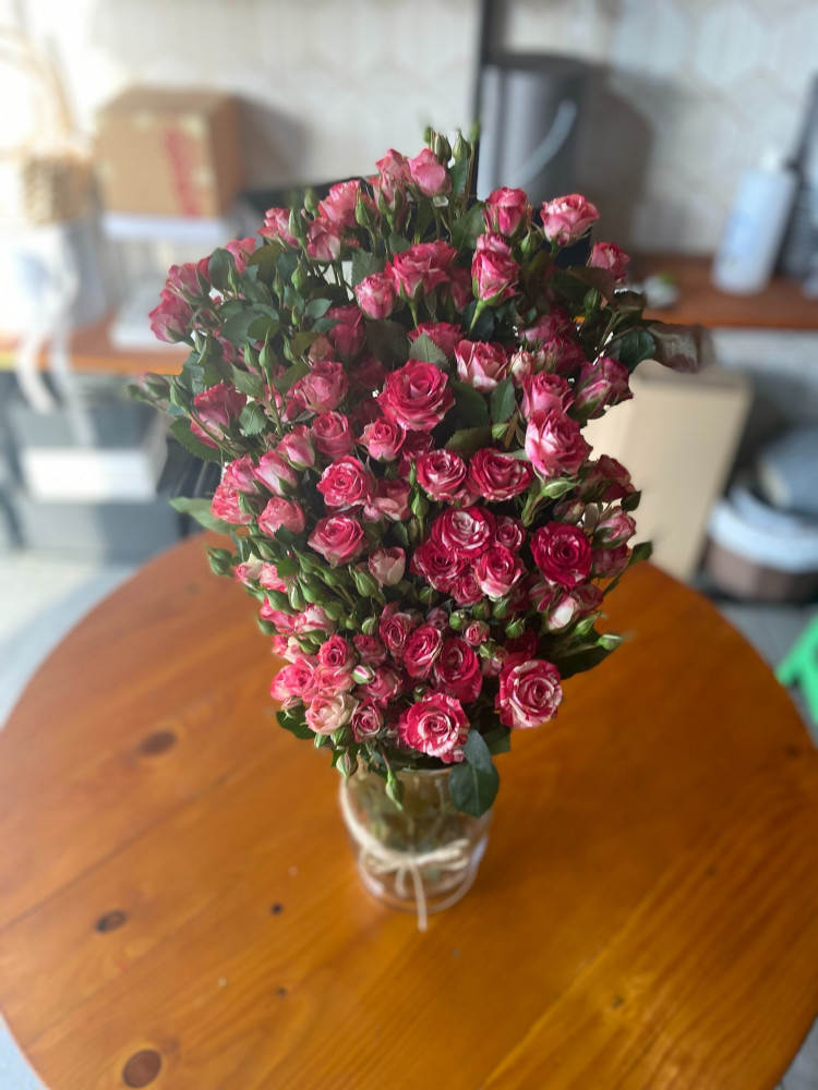 فازة اريس