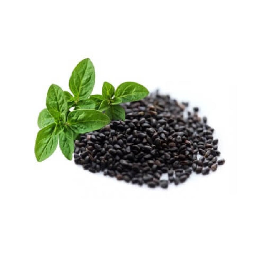 بذور ريحان حار صغير