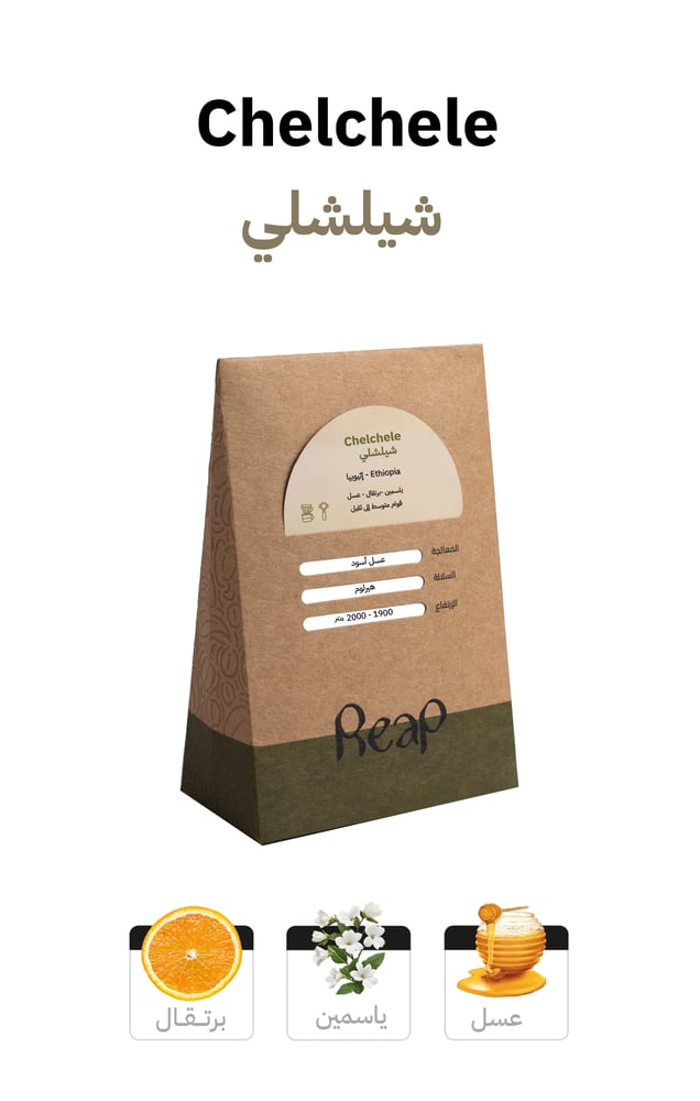 شيلشلي - إثيوبيا