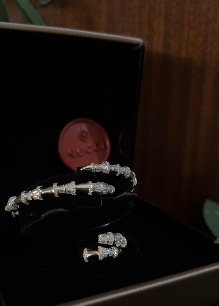 Zircon bracelet with ring