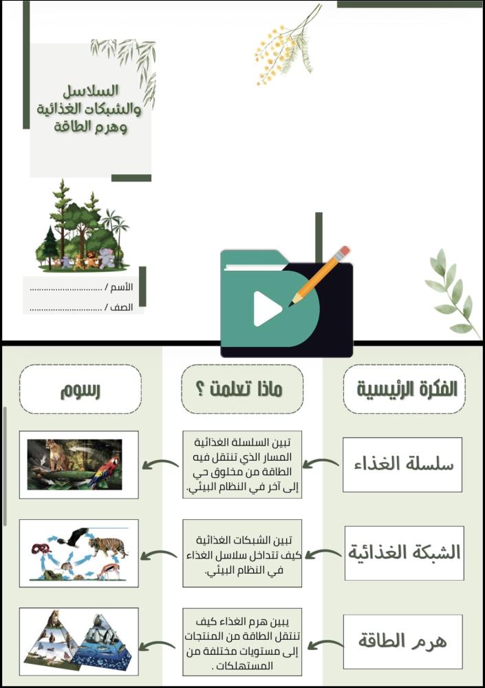 مطويات علوم الصف السادس الابتدائي الفصل الدراسي الأول PDF – 12 مطوية