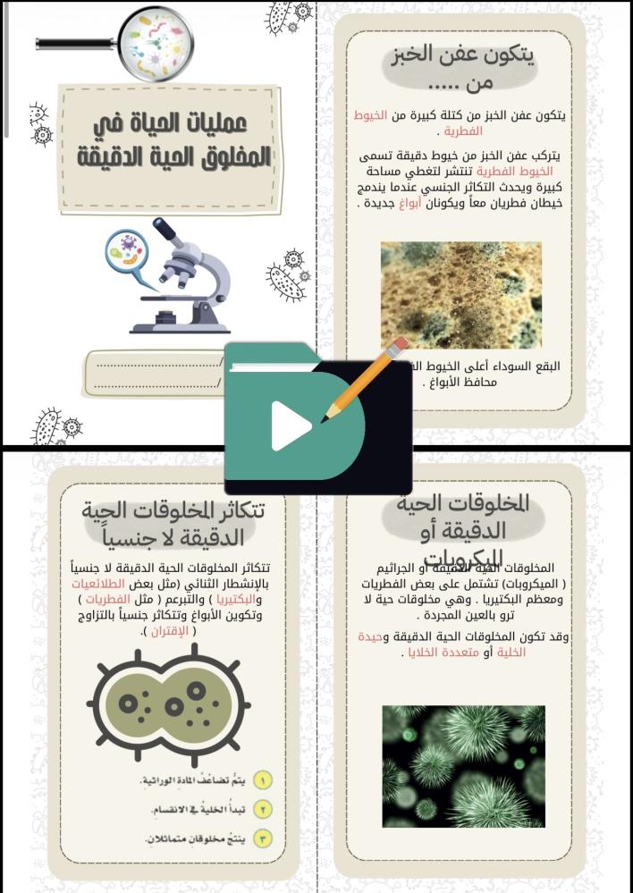 مطويات علوم الصف السادس الابتدائي الفصل الدراسي الأول PDF – 12 مطوية