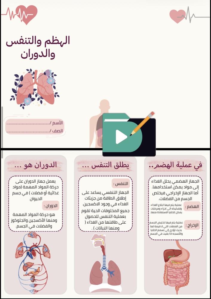 مطويات علوم الصف السادس الابتدائي الفصل الدراسي الأول PDF – 12 مطوية