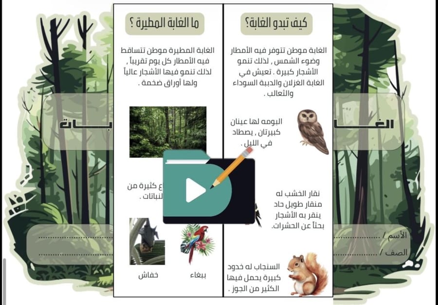 مطويات علوم الصف الثاني الابتدائي PDF – 12 مطوية جاهزة للطباعة