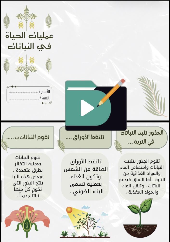 مطويات علوم الصف السادس الابتدائي الفصل الدراسي الأول PDF – 12 مطوية