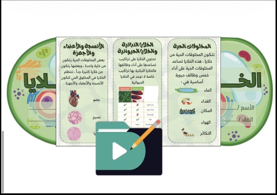 مطويات علوم الصف الرابع الابتدائي الفصل الدراسي الأول PDF – 12 مطوية