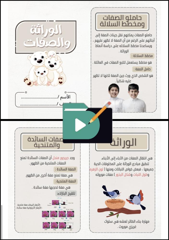 مطويات علوم الصف السادس الابتدائي الفصل الدراسي الأول PDF – 12 مطوية