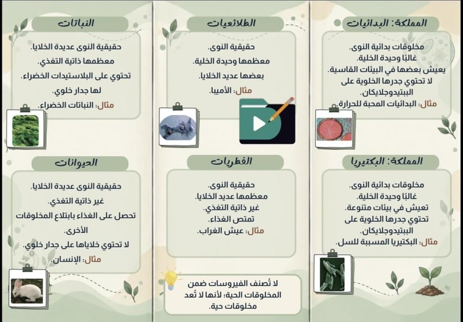 مطوية تنظيم تنوع الحياة | أحياء 1 أول ثانوي – الفصل الدراسي الأول pdf