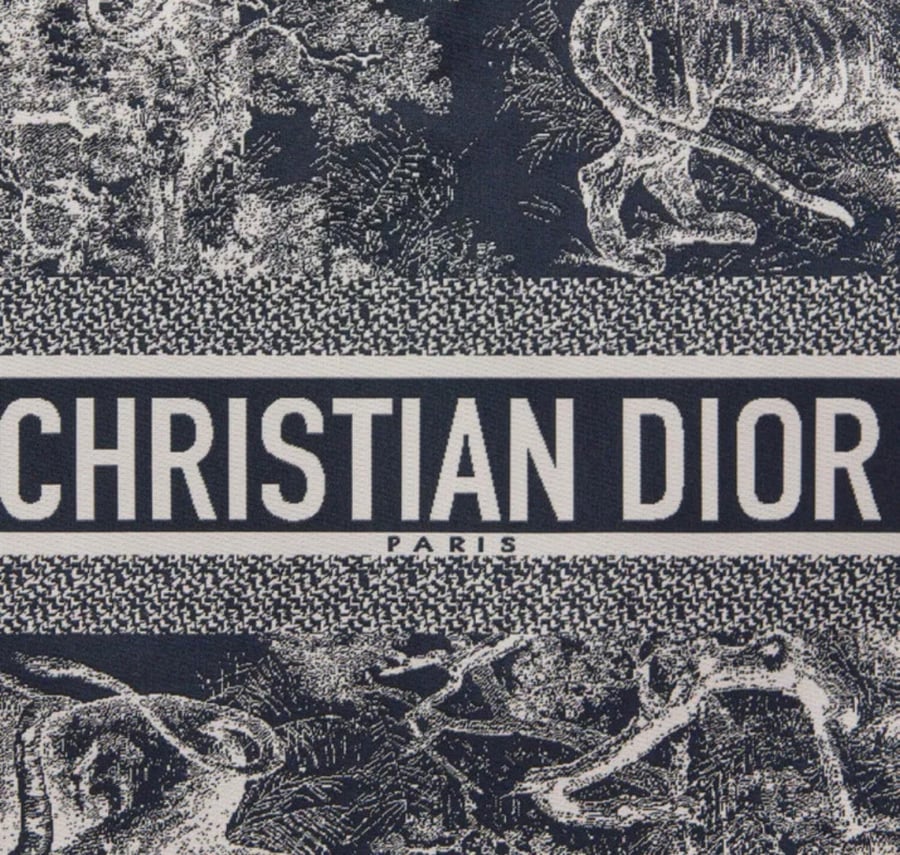 DIOR ZIPPED POUCH
