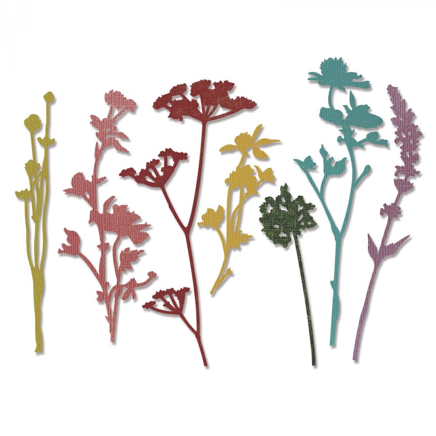 مجموعة قوالب ثينليتس - عدد 7 قطع - لقص المواد وإبرازها والطباعه عليها - على شكل زهور برية - من إنتاج شركة سيزيكس