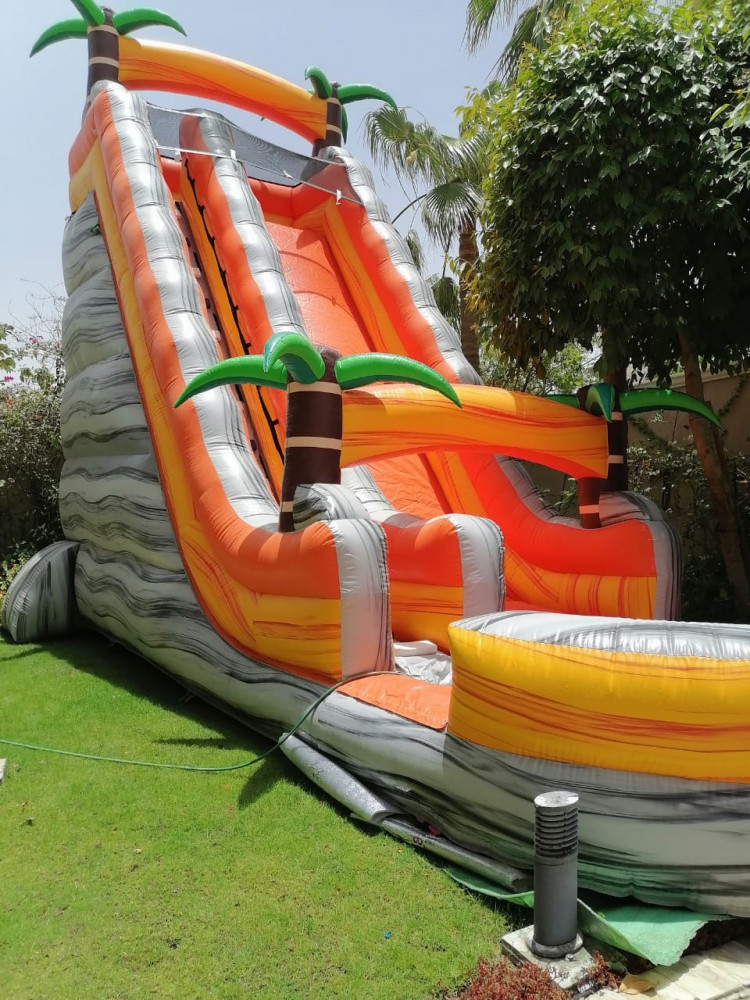 Dragon water slide 9*4*7m