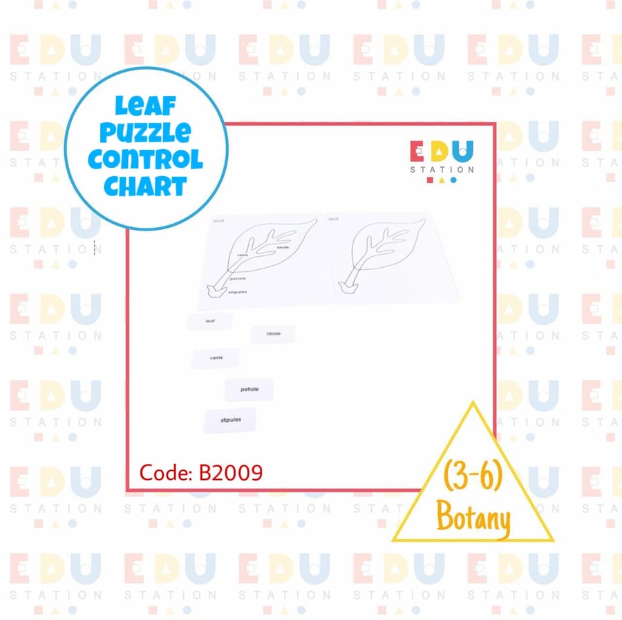 Leaf Puzzle Control Charts (English) - بطاقات أجزاء الورقة  (انجليزي)