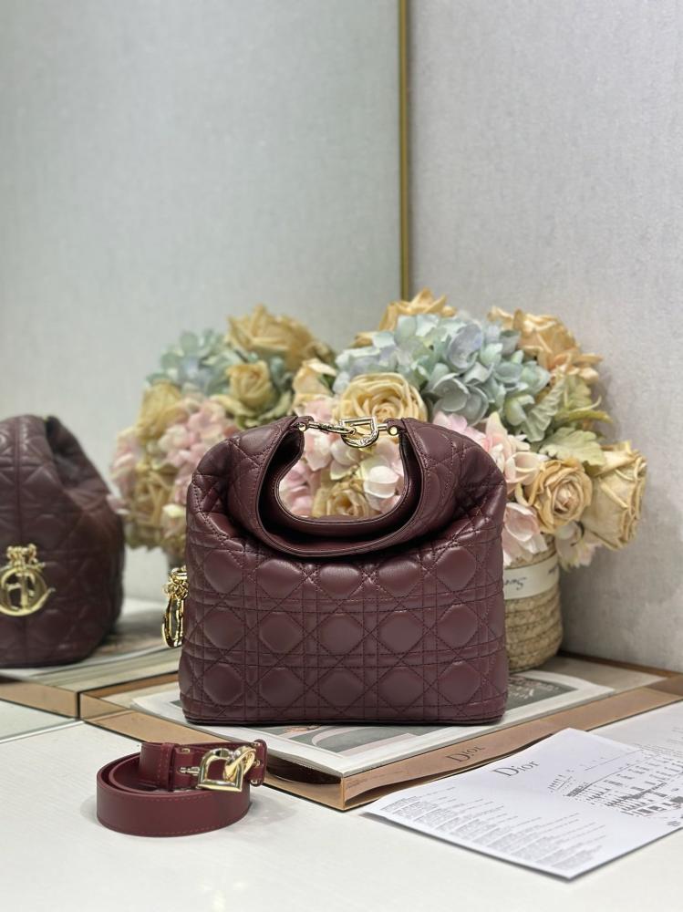 Dior Toujours Hobo 22,5CM