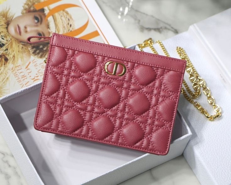 Dior Caro Pouch 19CM