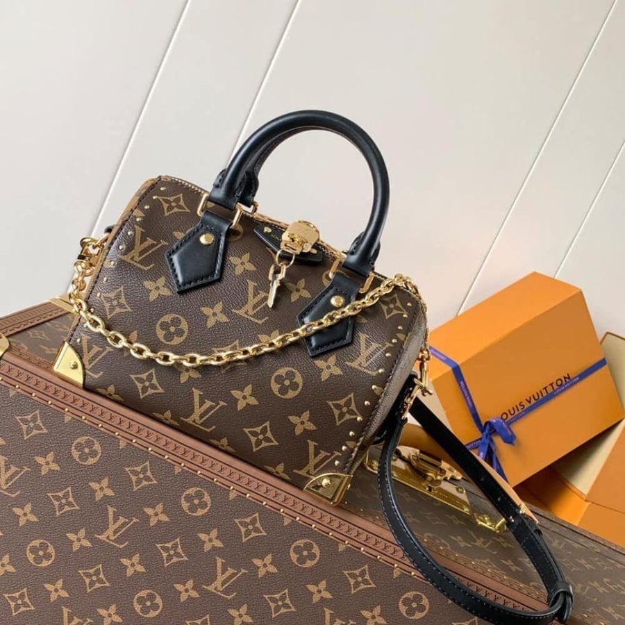 Louis Vuitton speedy TRUNK 20CM