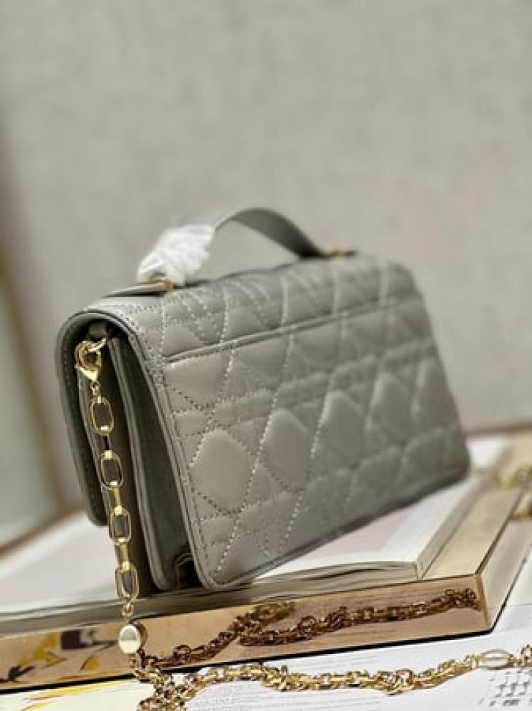 DIOR 21CM