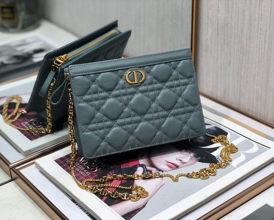 Dior Caro Pouch 19CM