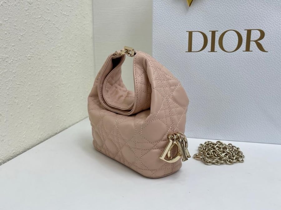 Dior Toujours Hobo mini