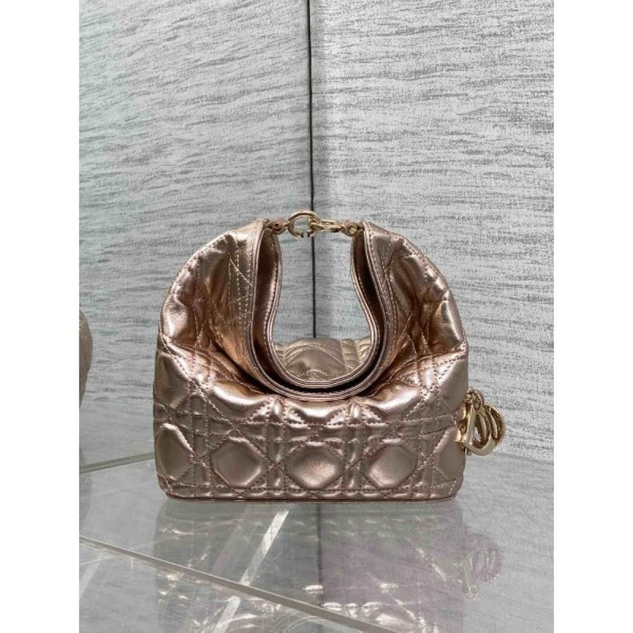 Dior Toujours Hobo mini