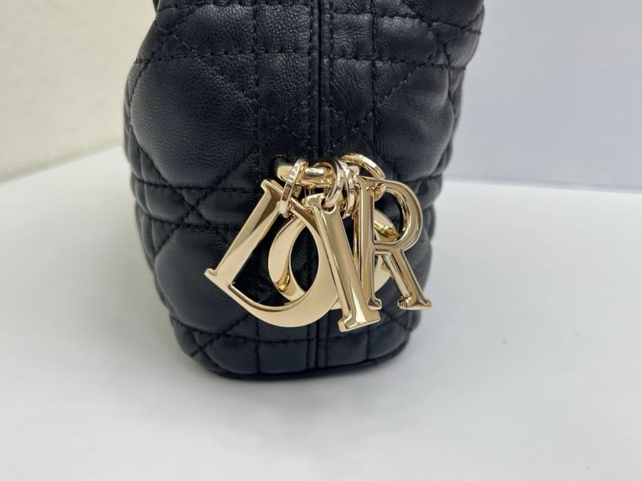 Dior Toujours Hobo mini