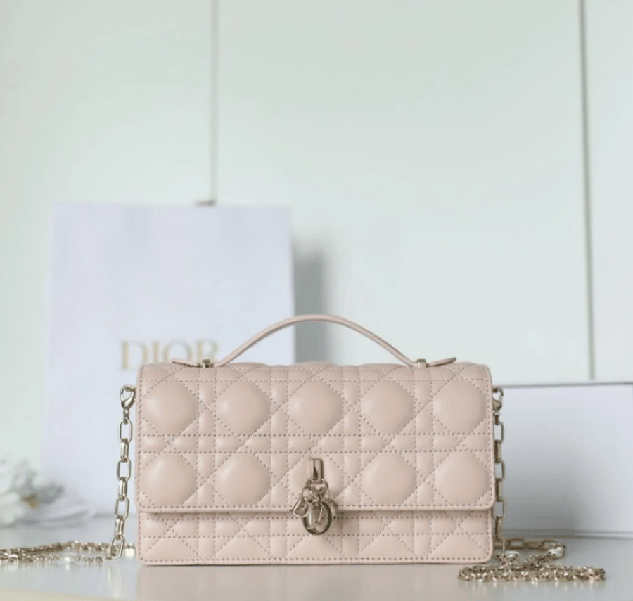DIOR 21CM وردي