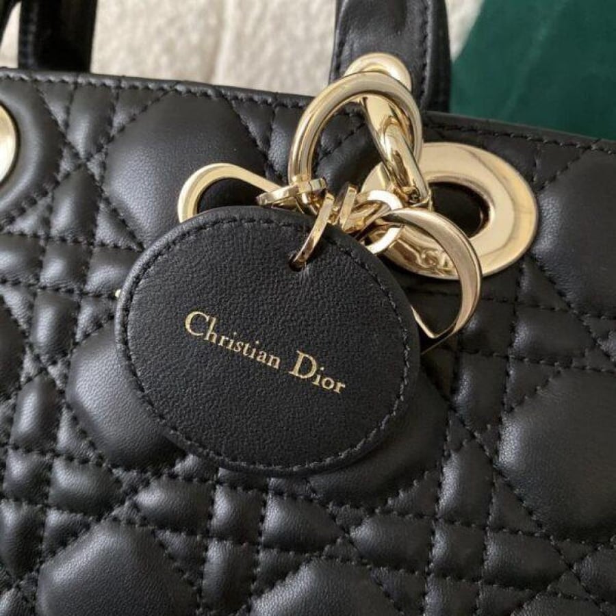 DIOR 22CM