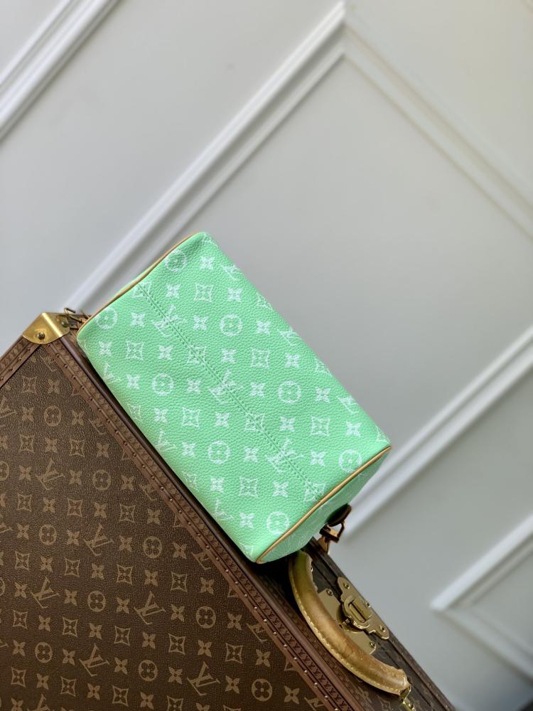 Louis Vuitton speedy 25CM